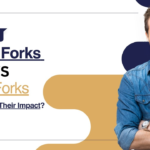 Crypto Forks Described: Hard Forks vs Soft Forks and Their Impact