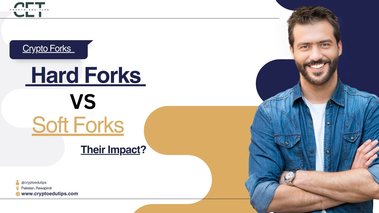 Crypto Forks Described: Hard Forks vs Soft Forks and Their Impact